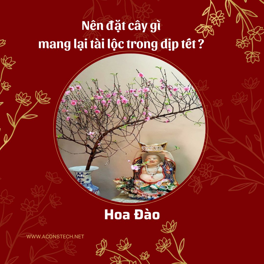 1 Aconstech Việt Nam