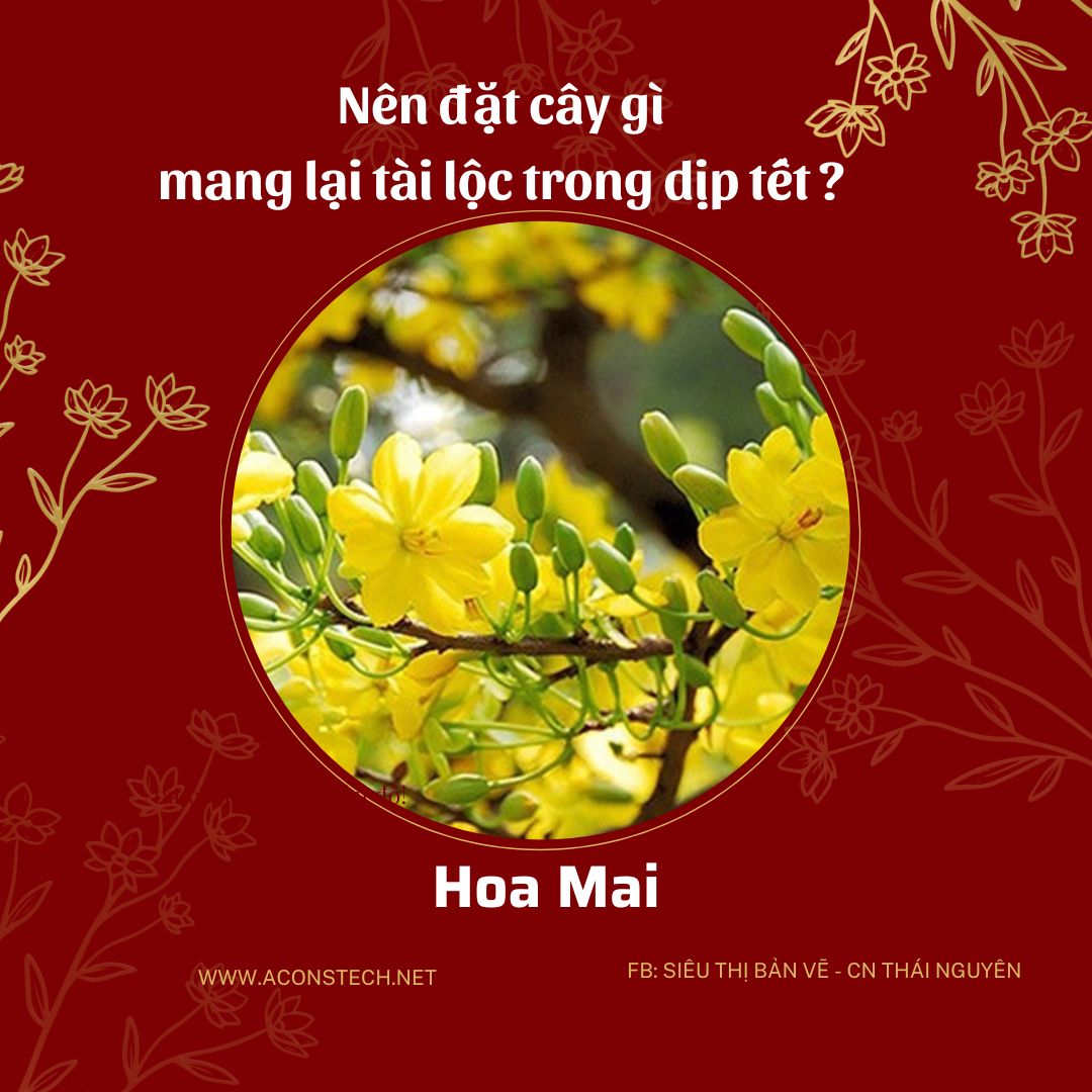 2 Aconstech Việt Nam