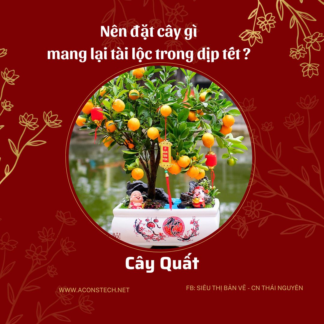 3 Aconstech Việt Nam