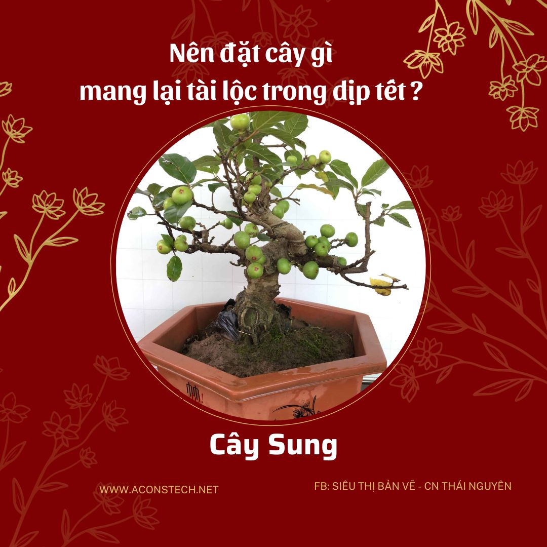 4 Aconstech Việt Nam