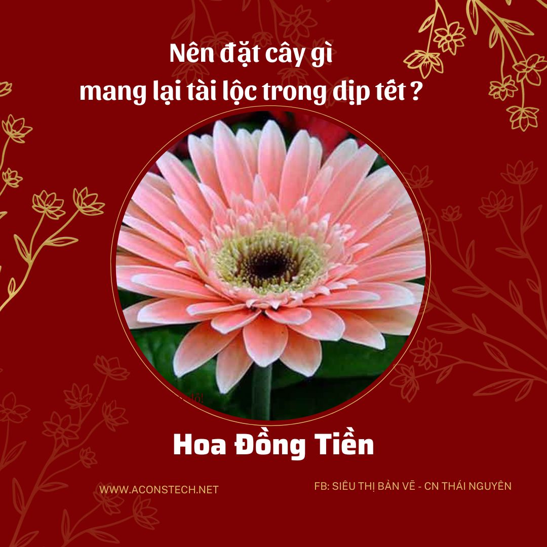 Do va Vang dong Don gian Truyen thong Ban hang Tet Nguyen Dan Bai dang Instagram 10 Aconstech Việt Nam