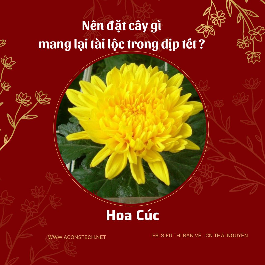 Do va Vang dong Don gian Truyen thong Ban hang Tet Nguyen Dan Bai dang Instagram 4 Aconstech Việt Nam