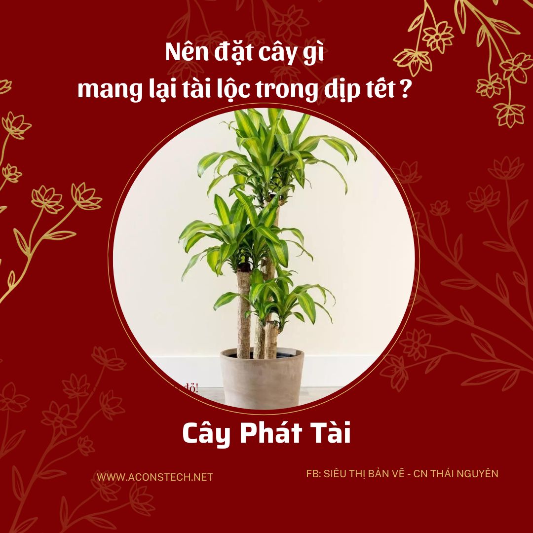 Do va Vang dong Don gian Truyen thong Ban hang Tet Nguyen Dan Bai dang Instagram 5 Aconstech Việt Nam