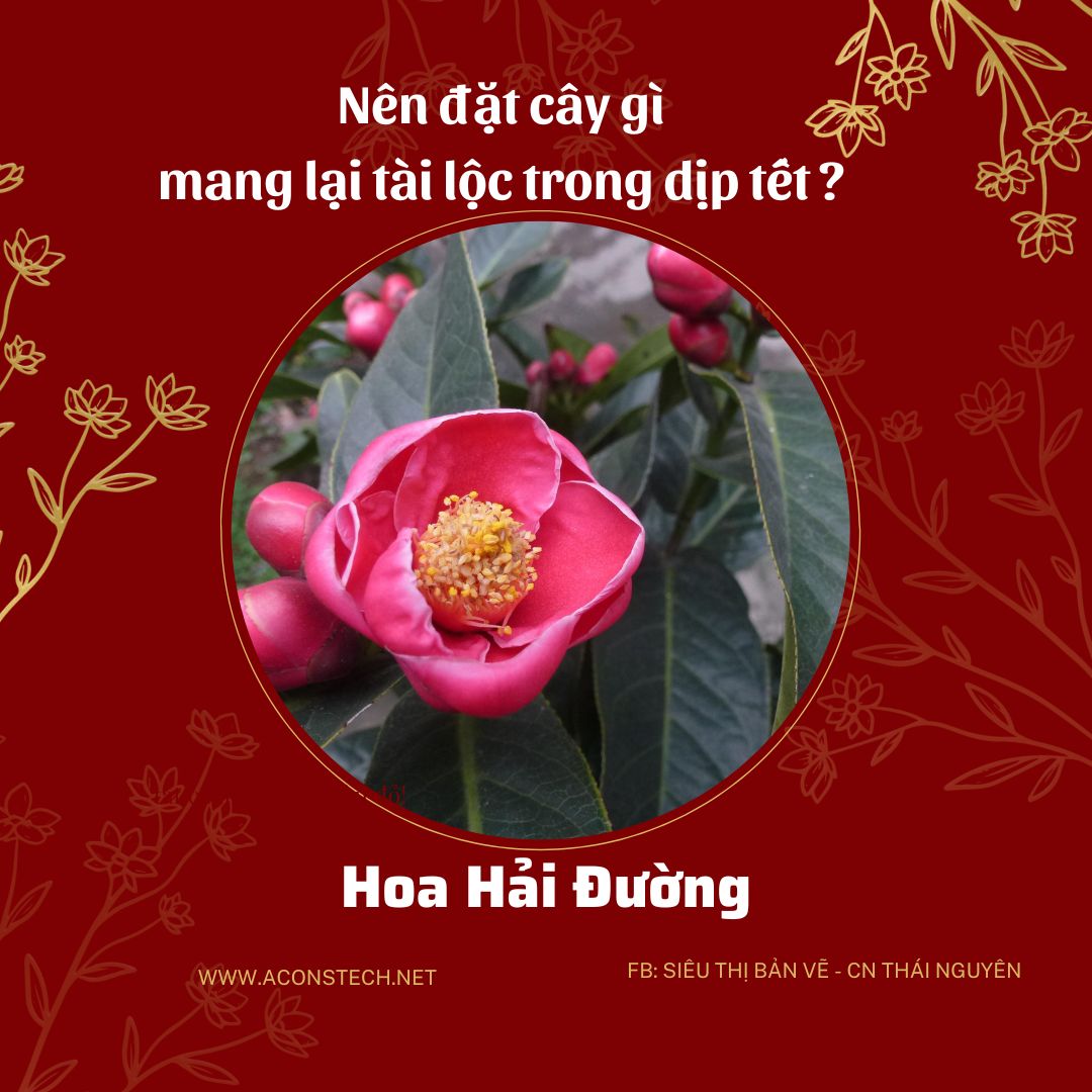 Do va Vang dong Don gian Truyen thong Ban hang Tet Nguyen Dan Bai dang Instagram 6 Aconstech Việt Nam