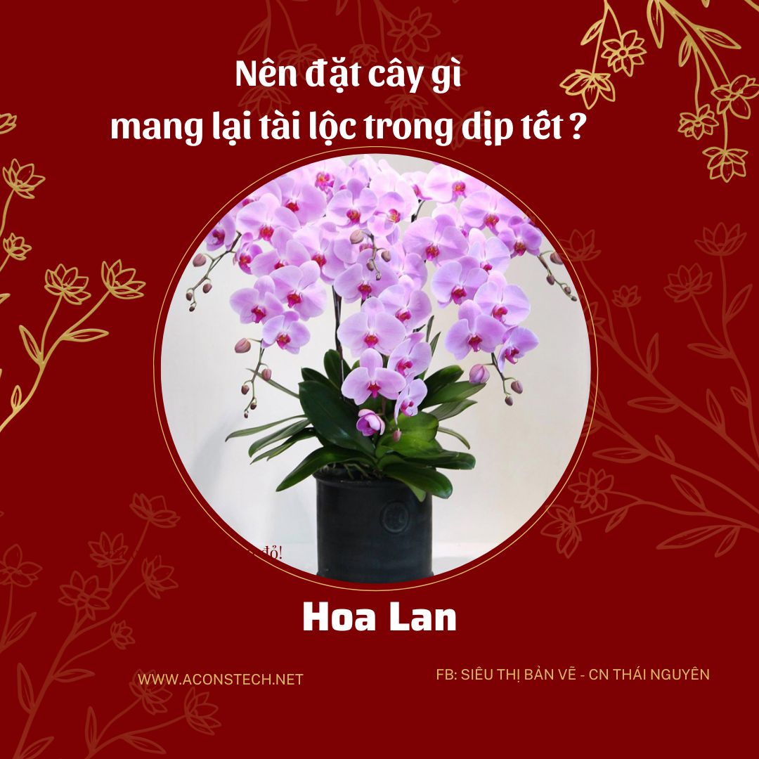 Do va Vang dong Don gian Truyen thong Ban hang Tet Nguyen Dan Bai dang Instagram 7 Aconstech Việt Nam