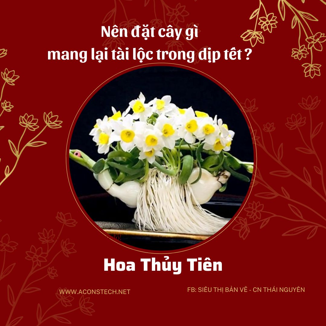 Do va Vang dong Don gian Truyen thong Ban hang Tet Nguyen Dan Bai dang Instagram 8 Aconstech Việt Nam