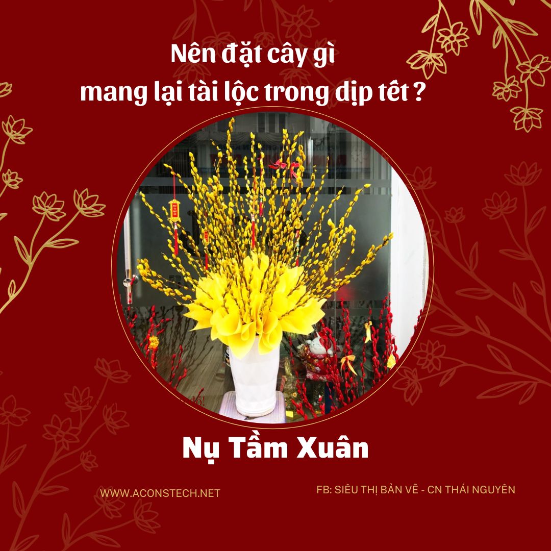 Do va Vang dong Don gian Truyen thong Ban hang Tet Nguyen Dan Bai dang Instagram 9 Aconstech Việt Nam